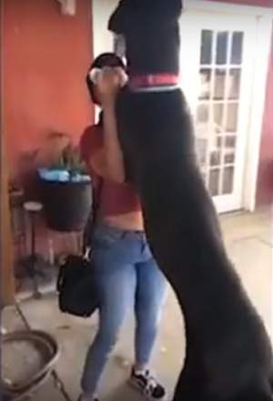 VIDEO / Scene emoţionante între o femeie şi câinele său! O să rămâi fără cuvinte când o să vezi cum a fost întâmpinată stăpâna