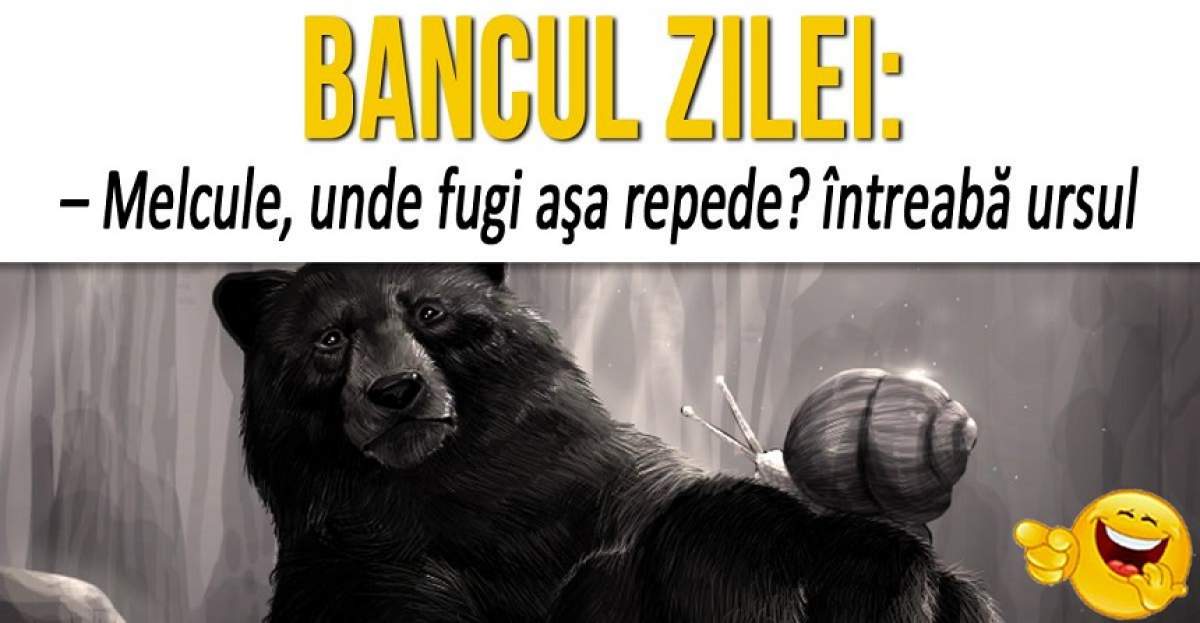 BANCUL ZILEI: – Melcule, unde fugi aşa repede? întreabă ursul 