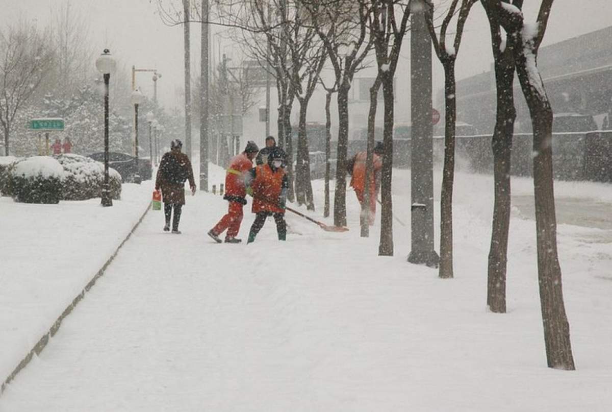 Incident bizar în Vaslui. Un bărbat i-a tăiat nasul colegului său