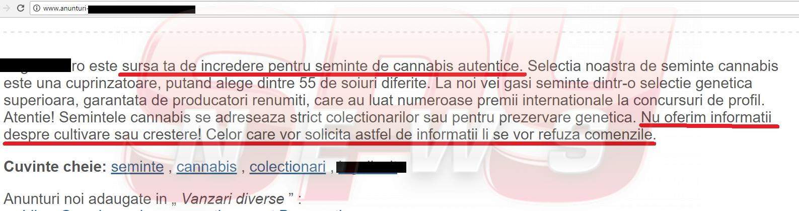 EXCLUSIV / Impresar din showbiz, traficant de cannabis! Afaceri cu iz penal, chiar lângă sediul Poliţiei Române