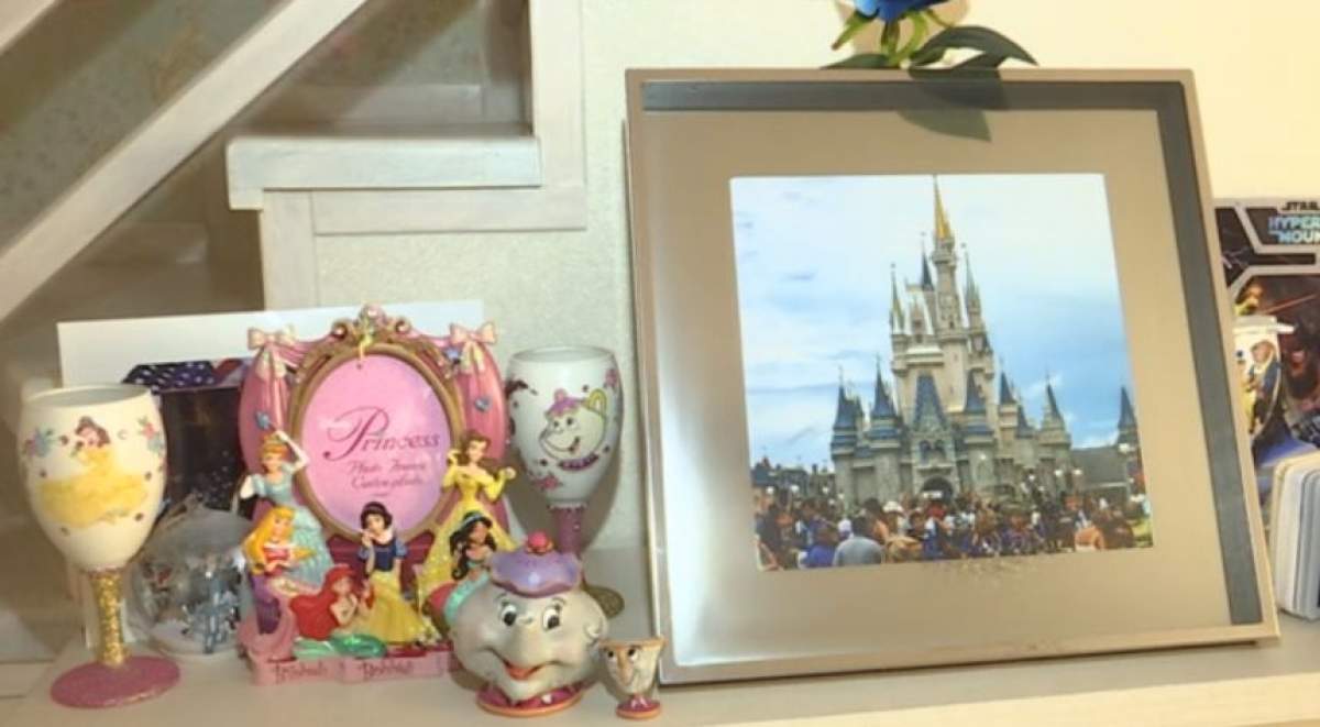 VIDEO / Cântăreaţă celebră, prinţesă în palatul Disney. Povestea fabuloasă a artistei care şi-a făcut o casă demnă de desenele animate