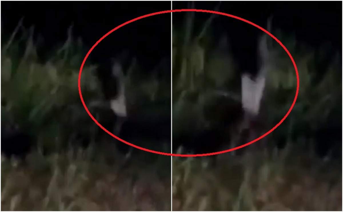 VIDEO / Imaginile care i-au băgat în sperieți pe internauți! Fetița-fantomă bântuie pădurea într-un singur picior