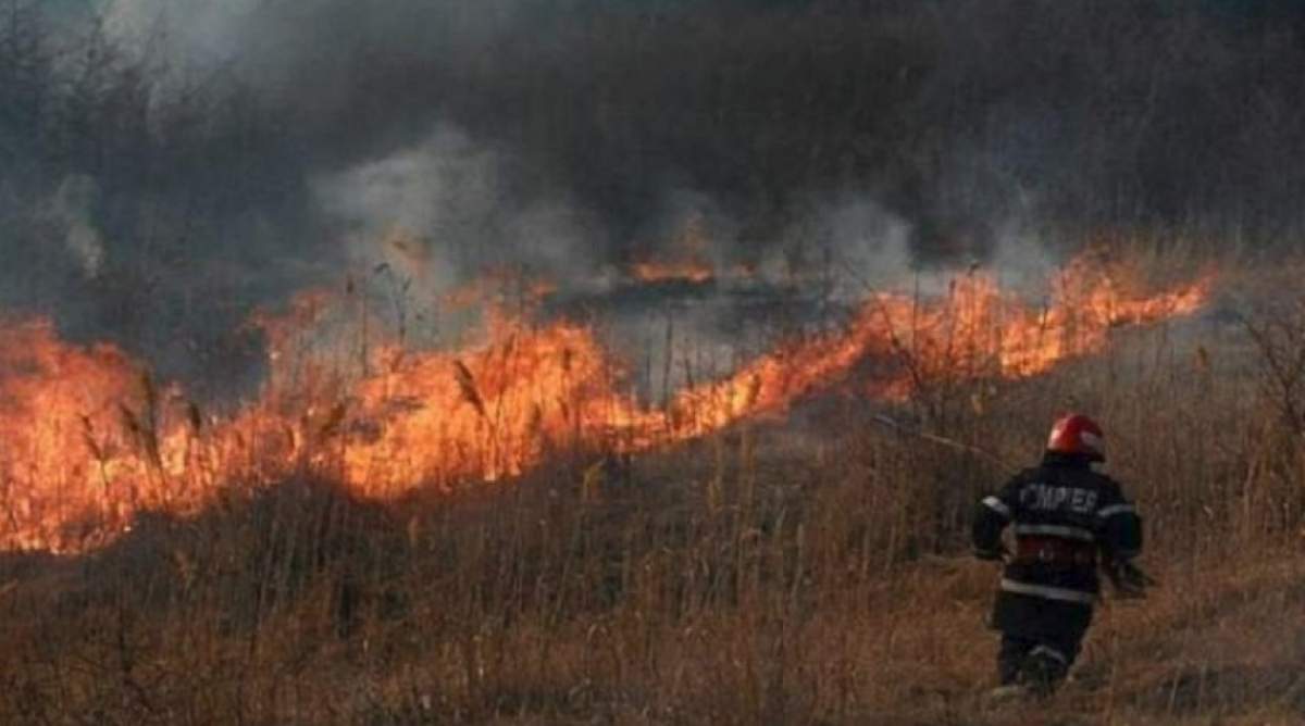 Bărbat ars de viu în Olt! Tot el a provocat şi un incendiu uriaş