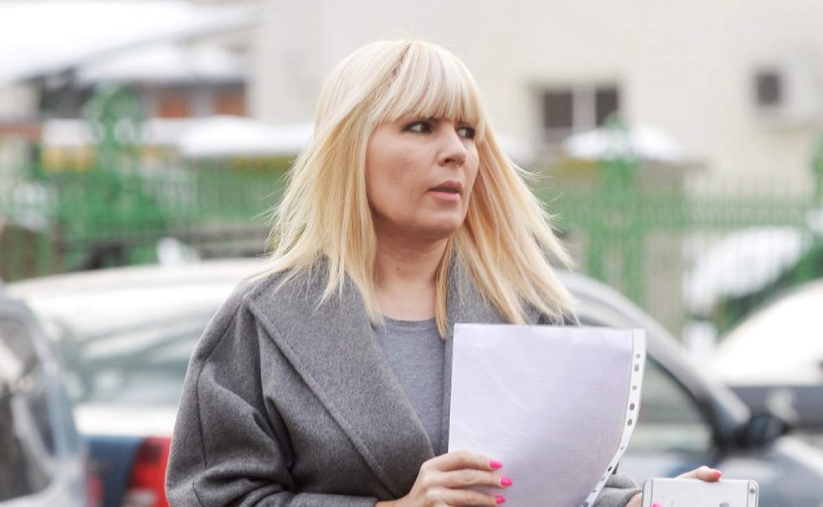 Câţi bani scoate din buzunar Elena Udrea pentru a-şi plăti avocatul