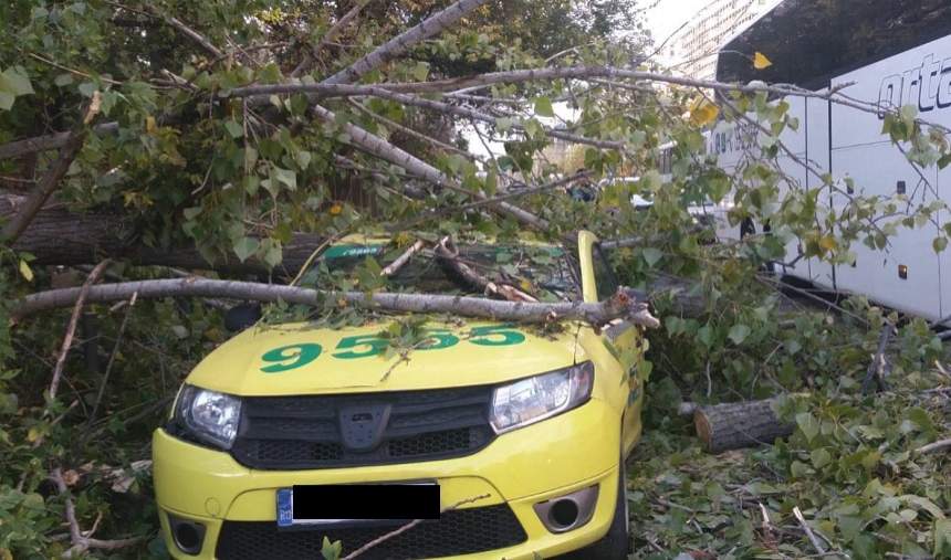 Ultimă oră! Un copac a căzut peste o maşină în Bucureşti. Şoferul este inconştient