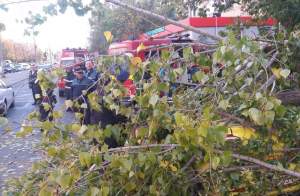 Ultimă oră! Un copac a căzut peste o maşină în Bucureşti. Şoferul este inconştient