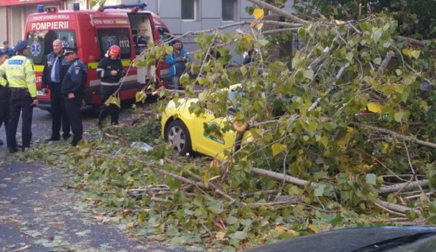 Ultimă oră! Un copac a căzut peste o maşină în Bucureşti. Şoferul este inconştient