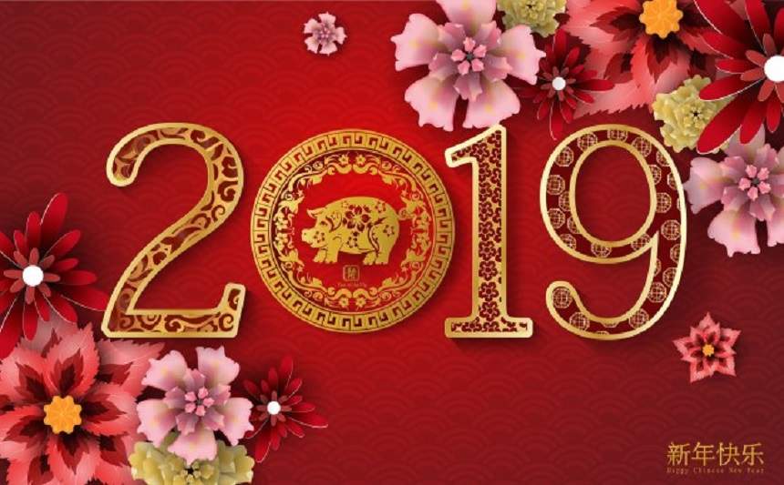 Horoscopul chinezesc pentru 2019 – anul Mistrețului