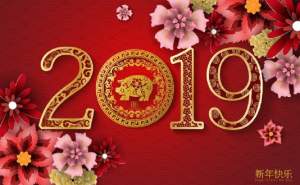 Horoscopul chinezesc pentru 2019 – anul Mistrețului