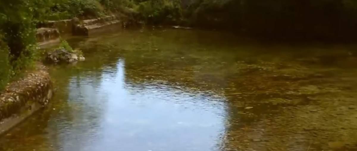 VIDEO / Un român a fost găsit mort în Italia, pe malul unui fluviu