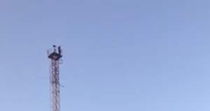 VIDEO / Un brăilean ameninţă că se aruncă în gol, de pe o antenă! Bărbatul este la a treia încercare