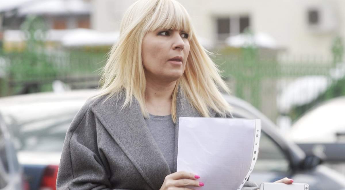 Elena Udrea trăia pe culmile bogăției, înainte de a fi arestată. Detalii incredibile despre măsurile de securitate pe care le lua blonda