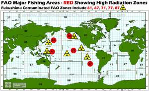 Românii, otrăviţi cu peşte iradiat cu uraniu de la Fukushima! Amănunte şocante