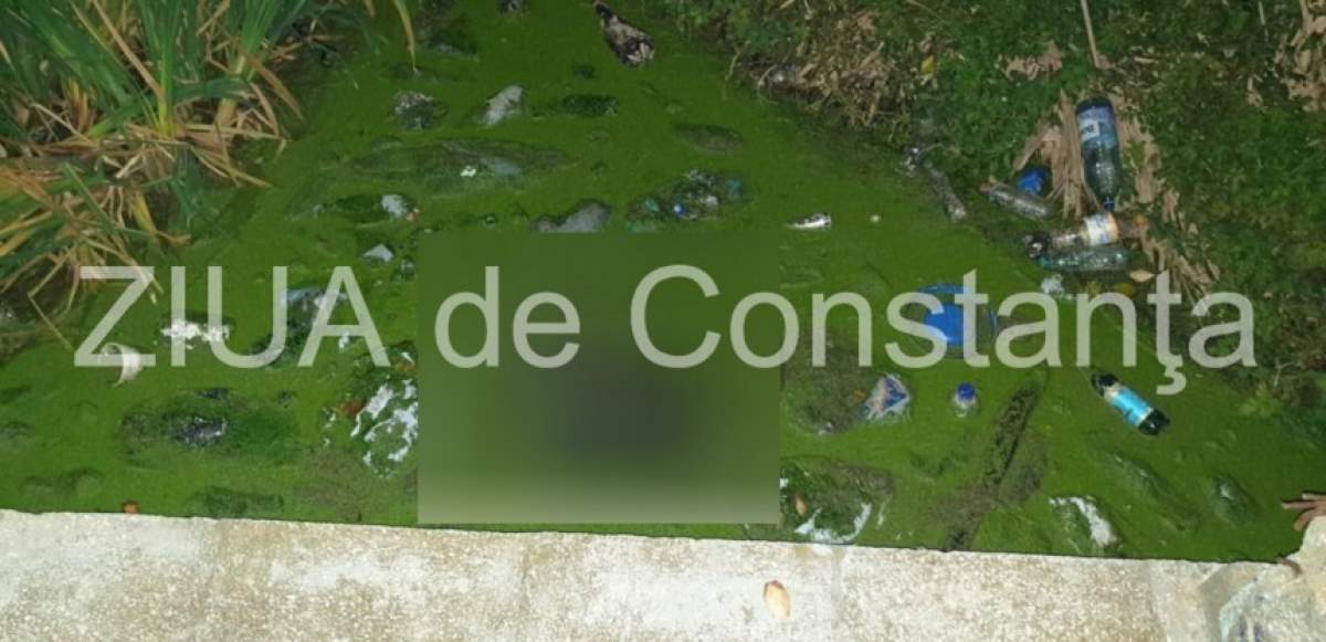 Descoperire şocantă în Constanţa! Cadavrul unui bărbat a fost găsit într-un bazin de înot