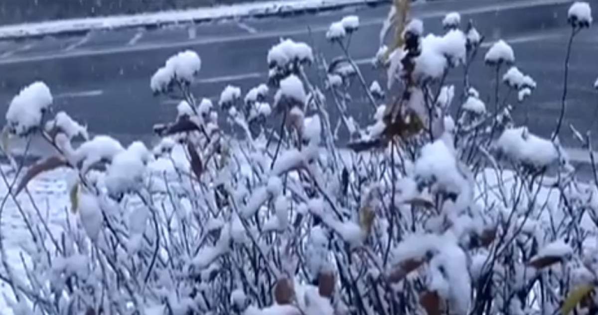 VIDEO / Iarna a venit mai devreme! Ninge abundent la munte, iar temperaturile s-au apropiat de pragul de îngheț