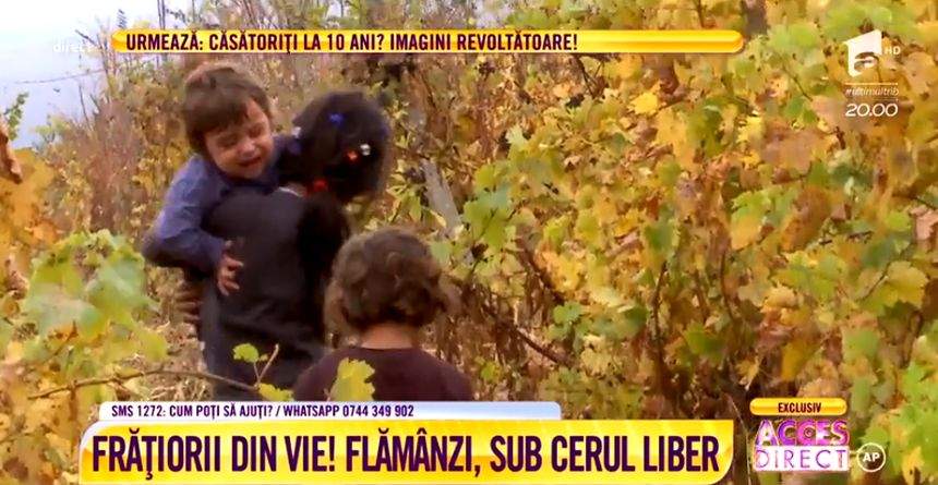 VIDEO / Fraţii din vie, fără casă şi fără copilărie. Micuţii au fost alungaţi de propria bunică