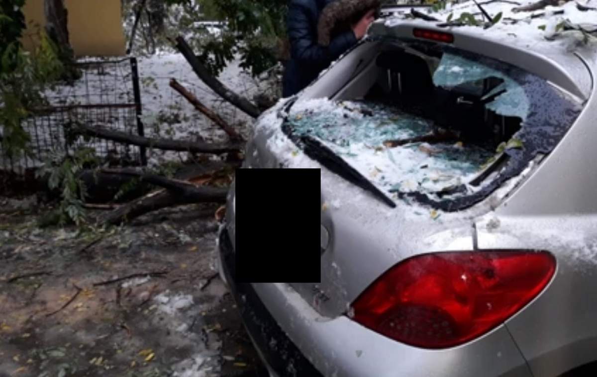 VIDEO / Vremea rea face ravagii! Un copac a căzut peste o mașină în București
