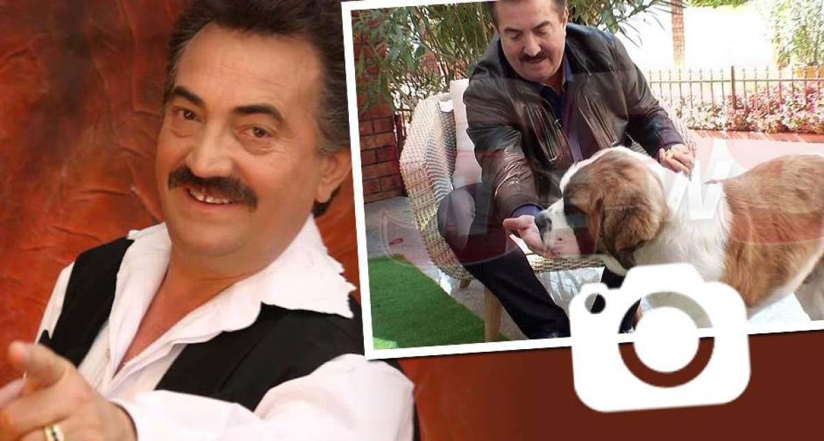 EXCLUSIV! Aroganţă marca Petrică Mâţu Stoian! Artistul i-a făcut câinelui vilă! Imagini senzaţionale cu locuinţa de lux a animalului