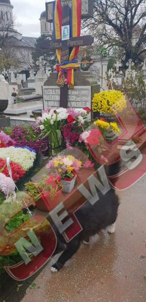 FOTO EXCLUSIV! Apariţie stranie la mormântul Stelei Popescu, în ziua parastasului de un an