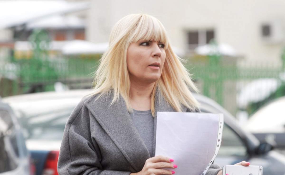 Elena Udrea rămâne în arest! Cererea de eliberare a fost respinsă