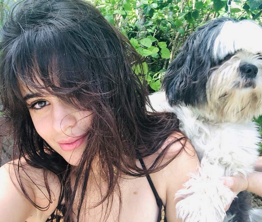 FOTO / Camila Cabello, cel mai bun artist în 2018!