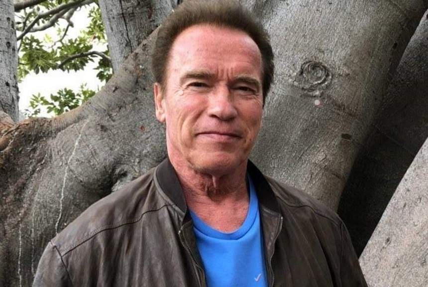 Arnold Schwarzenegger, sperietură cumplită la bordul unui avion. Piloții au cerut imediat aterizarea de urgență