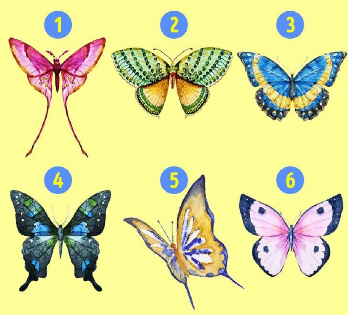 TEST: Te bagi? Fluturele pe care îl alegi îți va dezvălui o latură ascunsă a personalității tale