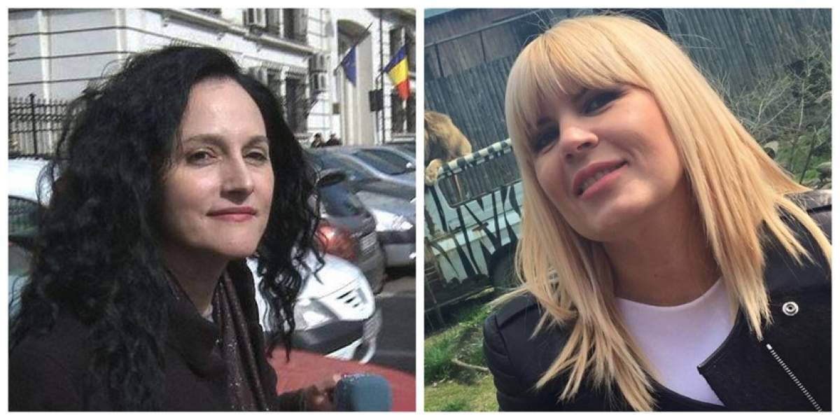 O nouă lovitură pentru Elena Udrea şi Alina Bica! Ce se întâmplă cu sentinţele pronunţate împotriva lor
