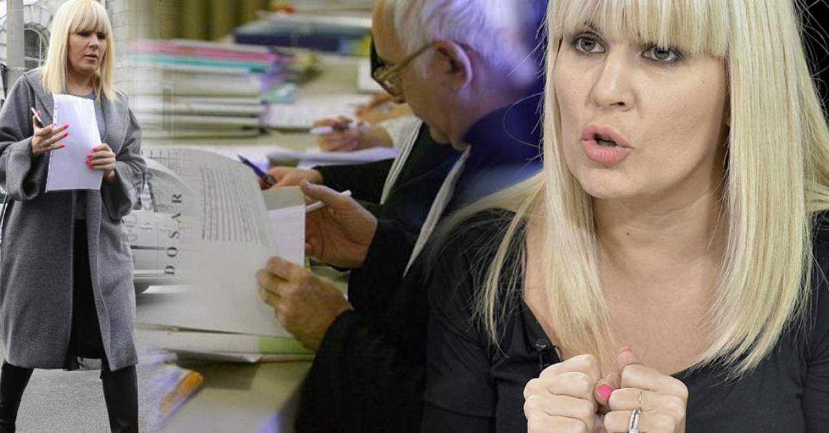 Veste nesperată pentru Elena Udrea! A câştigat o luptă importantă