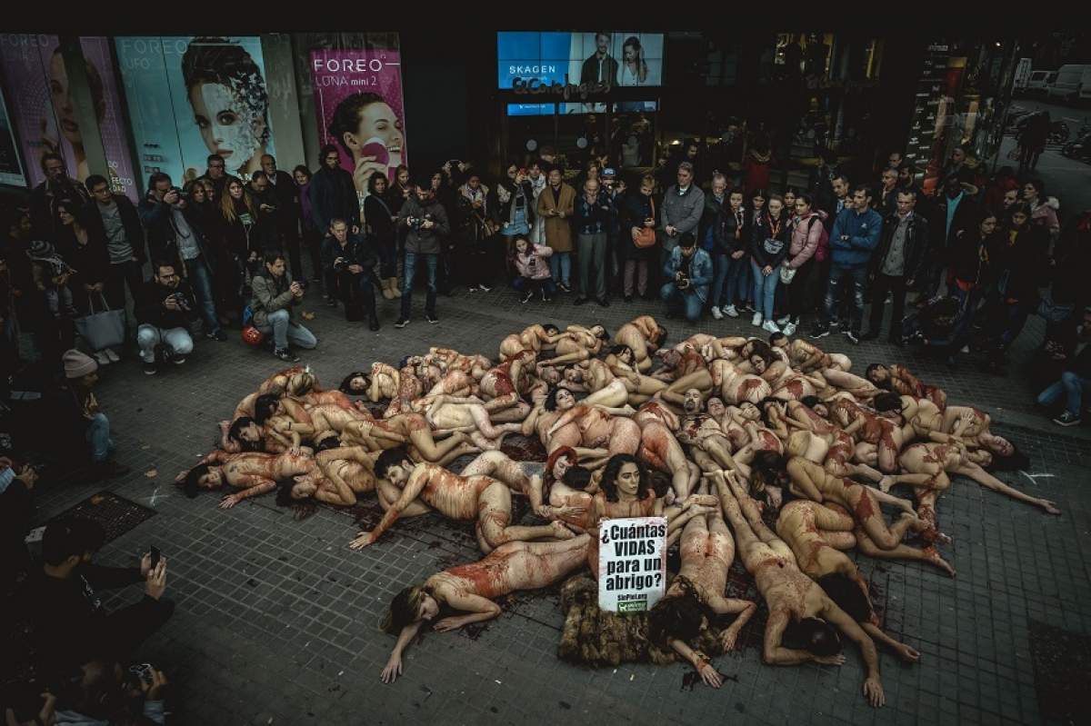 FOTO / Este şocant cum au ales să protesteze în Barcelona! Imagini inedite ale susţinătorilor drepturilor animalelor!