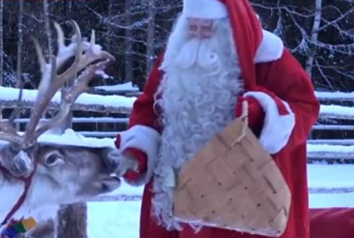 VIDEO / Vedetele au plecat în Laponia, țara lui Moș Crăciun! "M-am pierdut vreo 6 ore într-o rezervaţie de urşi"