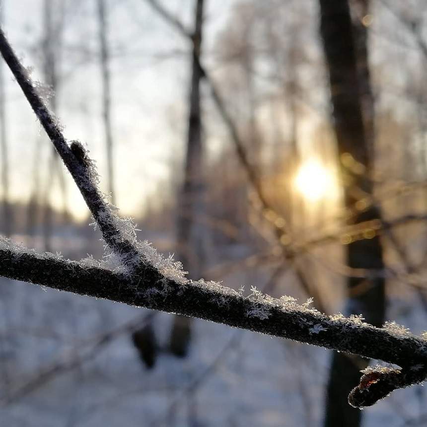 Meteorologii au anunţat cum va fi vremea de Crăciun şi Revelion