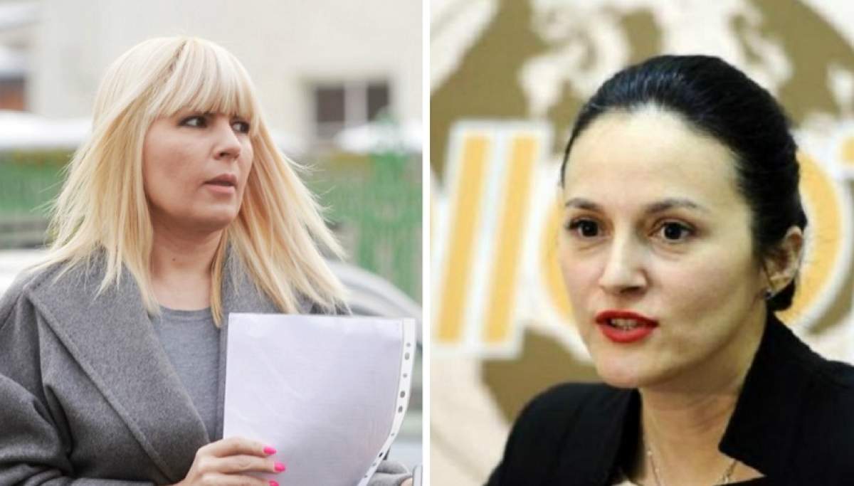 Elena Udrea și Alina Bica au fost eliberate