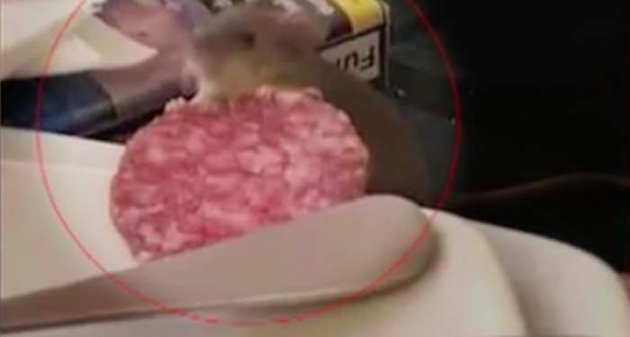 VIDEO / Un șoarece s-a urcat pe masa lăutarilor, la un botez din Dolj. Ar fi fost ”chemat” chiar de petrecăreți