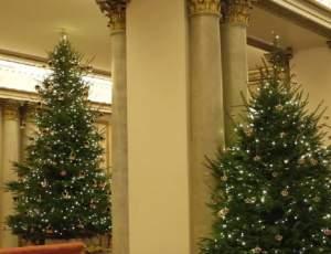 FOTO / Lux și opulență! Cum a fost decorat Palatul Buckingham, pentru Crăciun