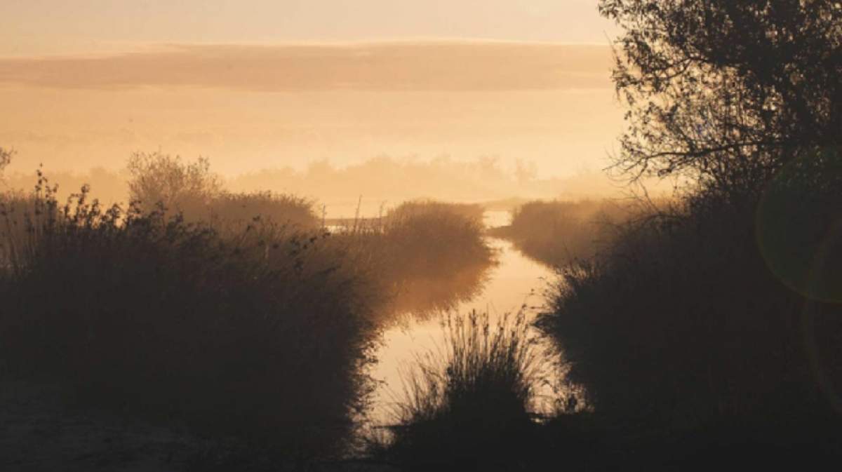 Activități și excursii in Delta Dunării pe care să le faci iarna