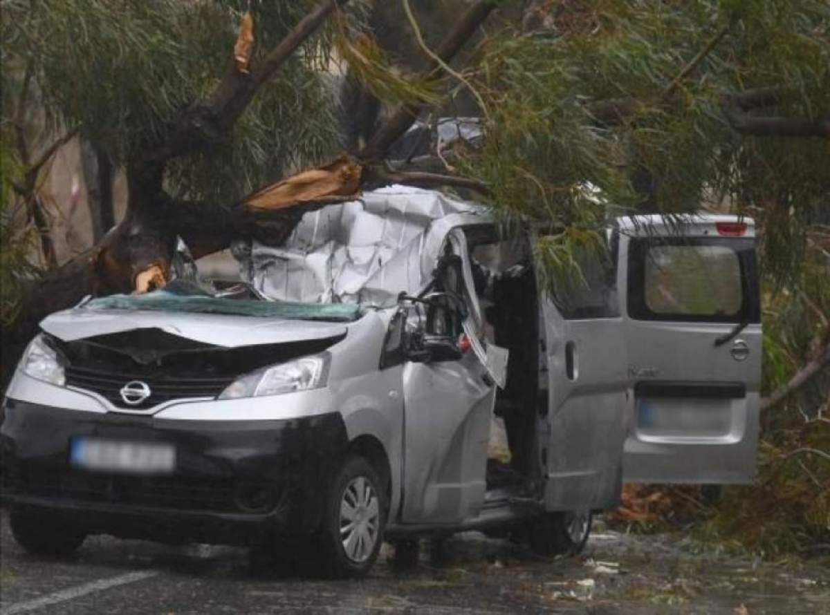 FOTO / Român aflat în Malta, strivit de copac! Soţia lui este în stare gravă