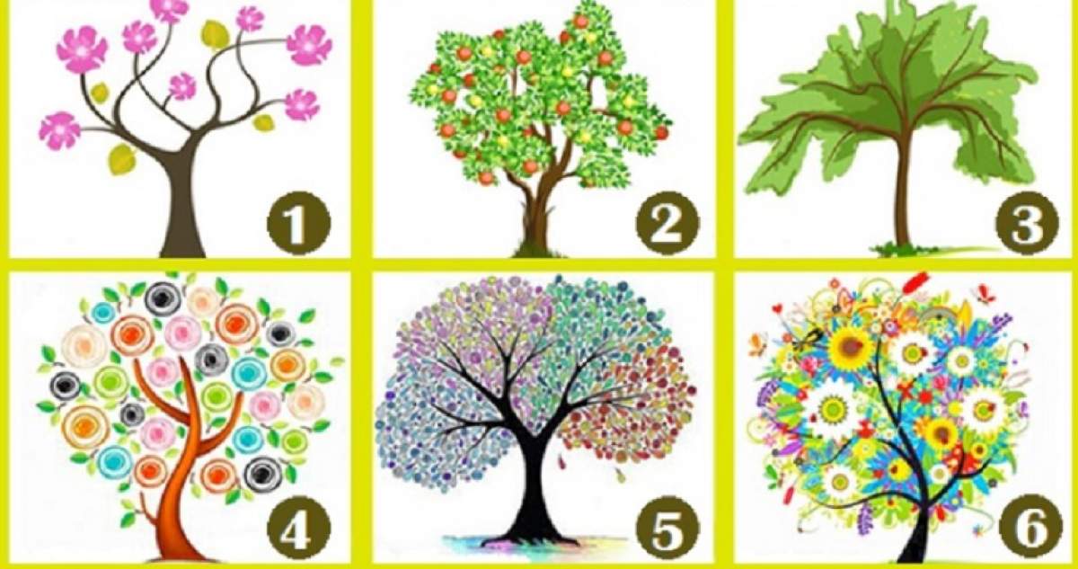 TEST: Alege un copac şi descoperă ce îţi rezervă viitorul! Ai curaj?