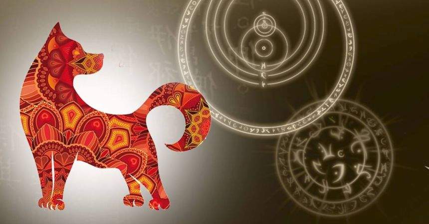 Ele sunt cele mai norocoase trei zodii din Anul Câinelui de Pământ. Tu eşti pe listă?