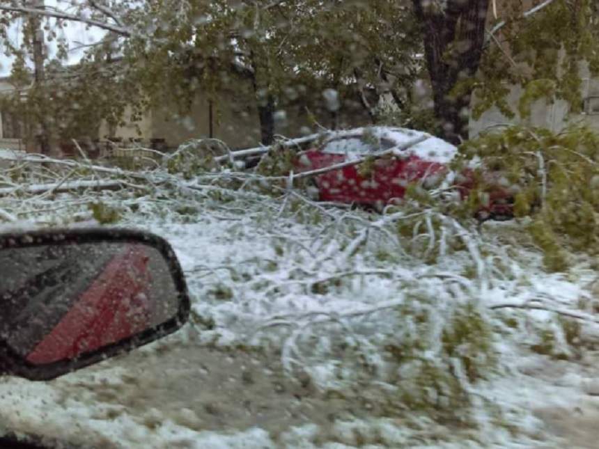 VIDEO / Copaci puşi la pământ, mii de oameni fără curent electric, şcoli închise! Prăpăd într-un judeţ din ţară