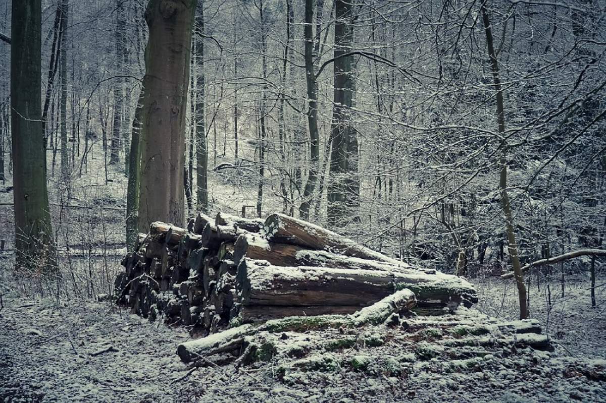 Caz incredibil în Vrancea! Un tată cu cinci copii a murit de frig, încuiat în maşină. Cum s-a ajuns la acest lucru te va îngrozi