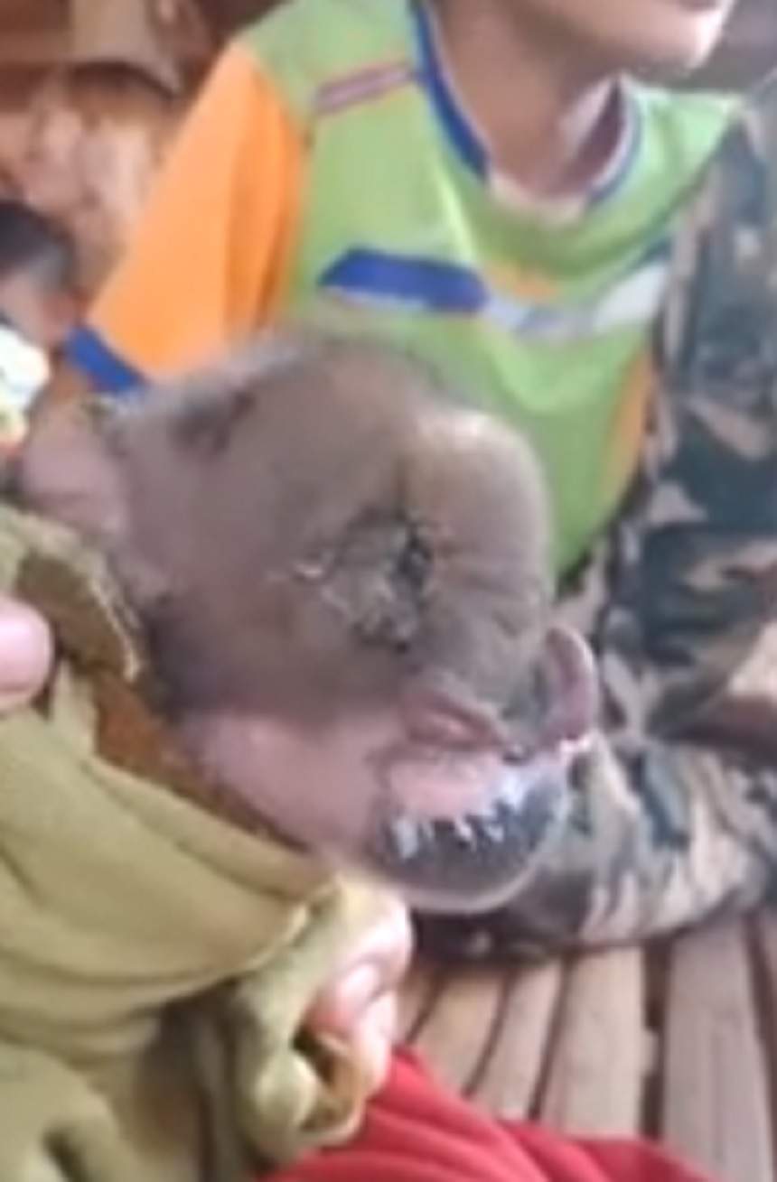 VIDEO / Porcul mutant cu trompă de elefant, hrănit cu biberonul de săteni. "O ciudățenie a naturii"