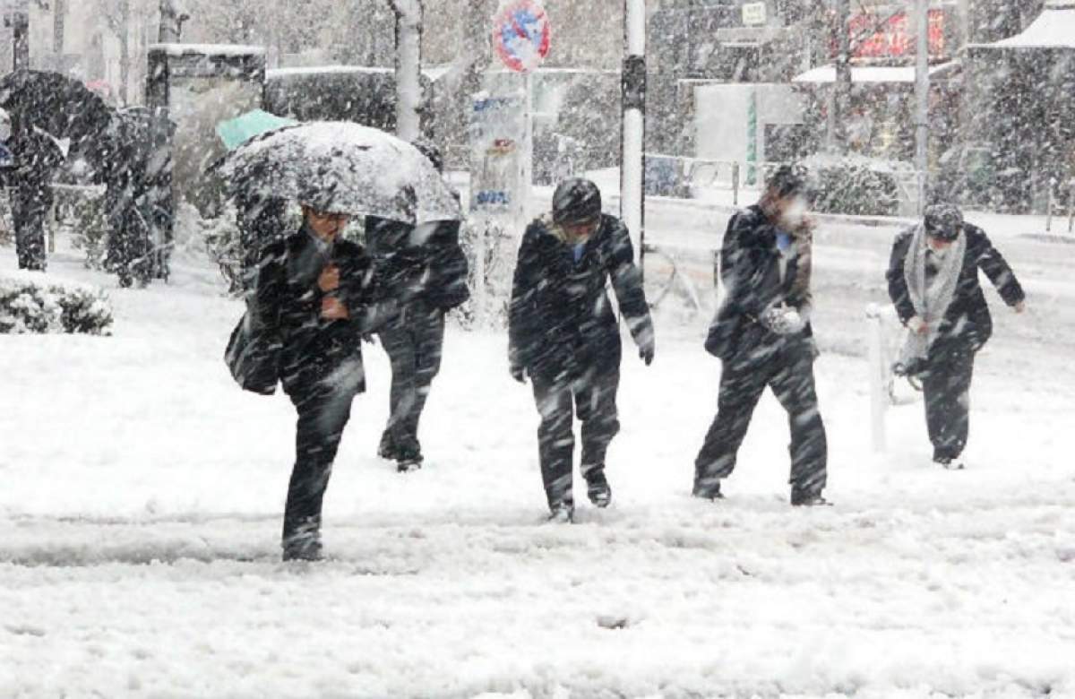 Prăpăd în ţară. Temperaturi resimţite până la minus 44 de grade! Ce judeţe sunt grav afectate