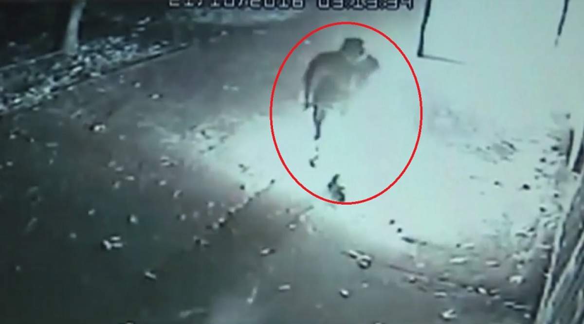 VIDEO / Caz şocant în Galaţi! Un bărbat a fost înjunghiat, apoi a ars de viu într-o clădire părăsită