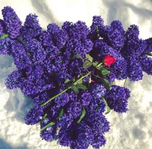 FOTO / Andreea Mantea, "îngropată" în flori de 1 Martie. Prietenii au devenit suspicioşi: "De unde le ai?"