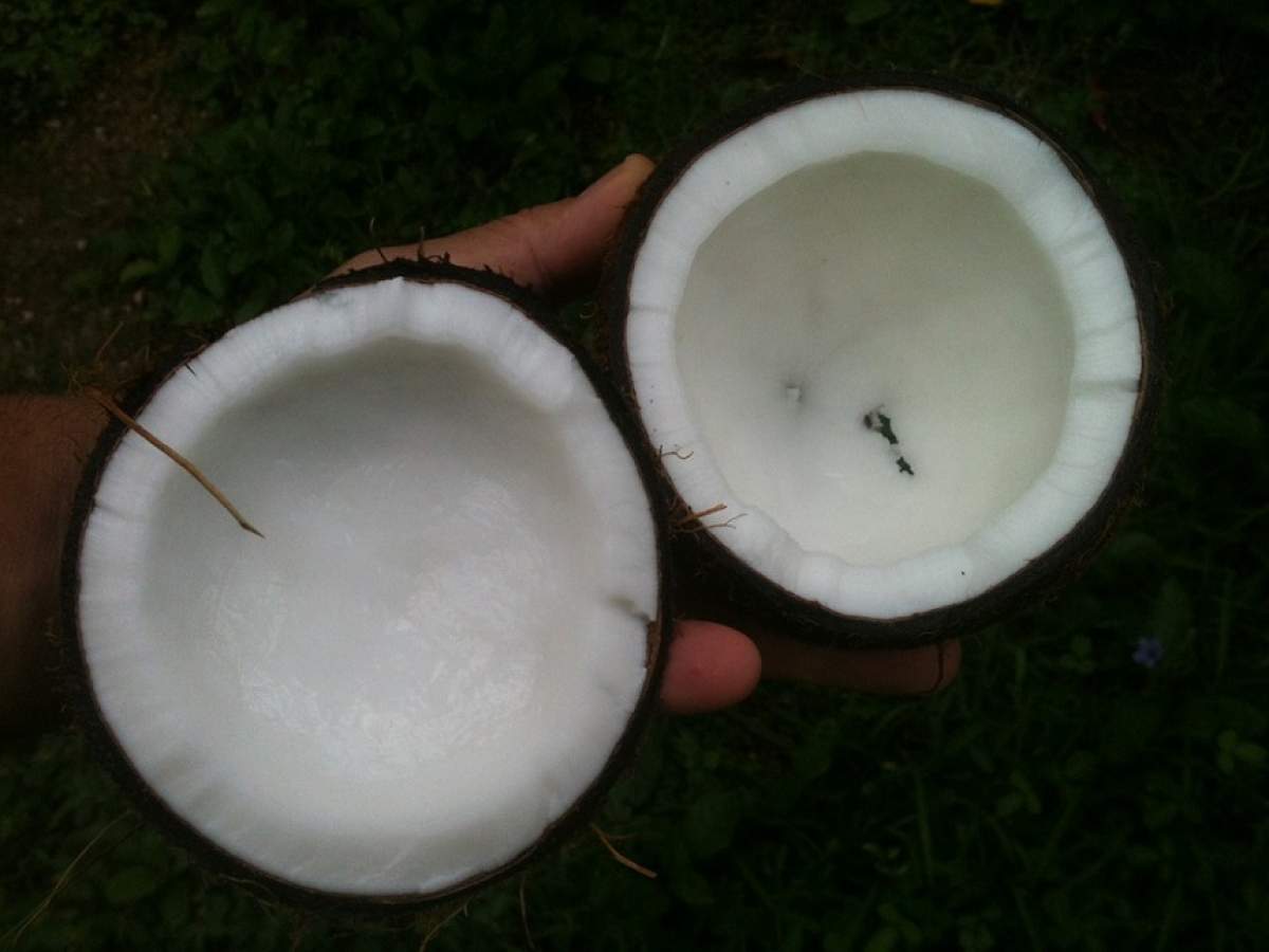 4 motive pentru care trebuie să bei oţet de cocos înainte de culcare