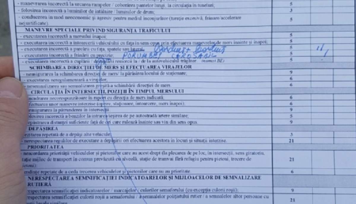 FOTO / Nu, nu e glumă! O tânără din Făgăraş a picat examenul auto pentru că nu a acordat prioritate unui porumbel