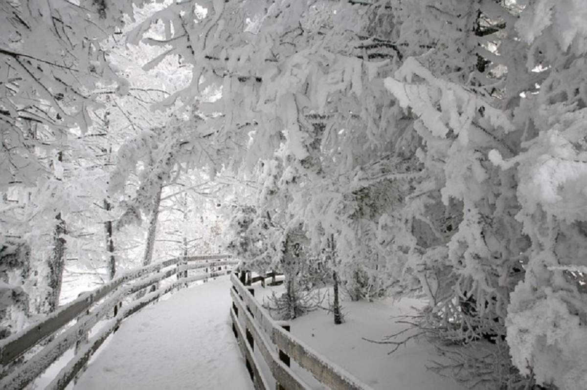 Avertizare meteo de ultima oră! Un nou ciclon lovește România