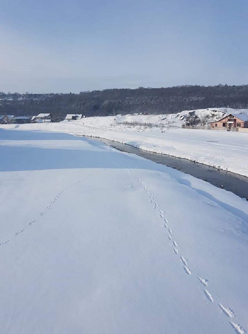 FOTO / Imagini spectaculoase cu ninsorile abundente şi fenomenele extreme din România