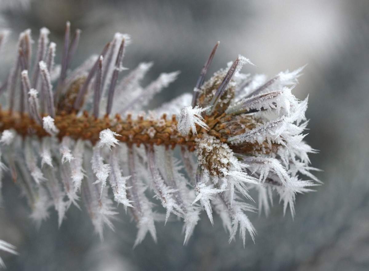 Veşti proaste din partea meteorologilor! Cod galben de ceaţă, polei, chiciură şi precipitaţii mixte